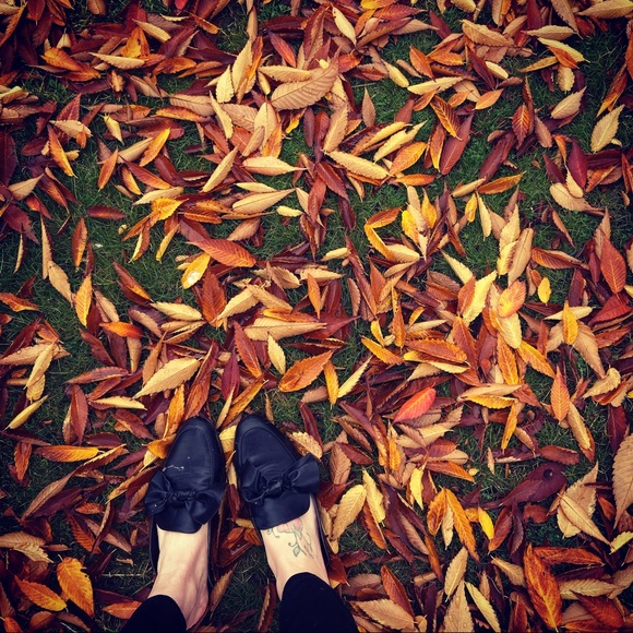 Not for sale - Picture 5 of 6